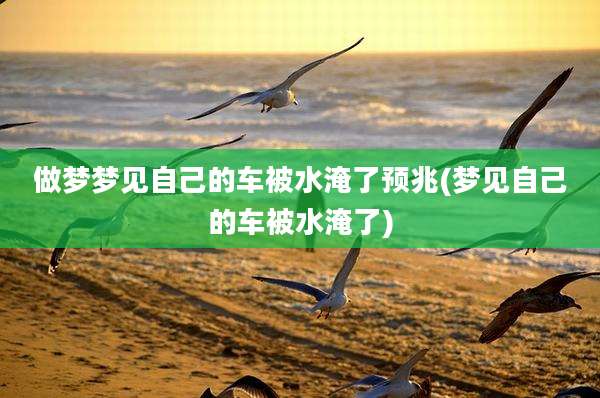 做梦梦见自己的车被水淹了预兆(梦见自己的车被水淹了)