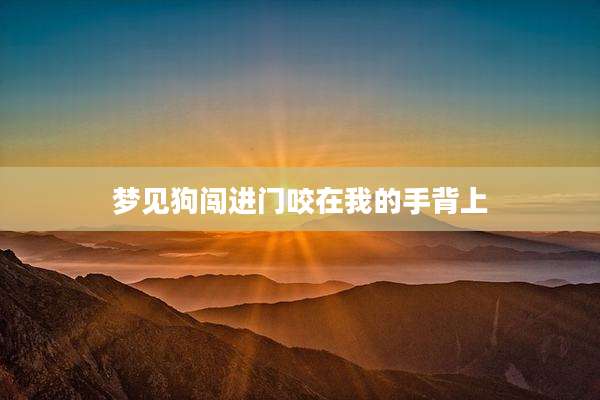 梦见狗闯进门咬在我的手背上