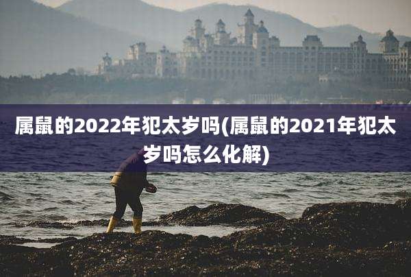 属鼠的2022年犯太岁吗(属鼠的2021年犯太岁吗怎么化解)