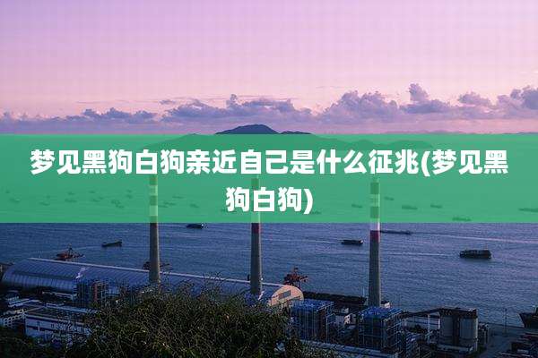 梦见黑狗白狗亲近自己是什么征兆(梦见黑狗白狗)