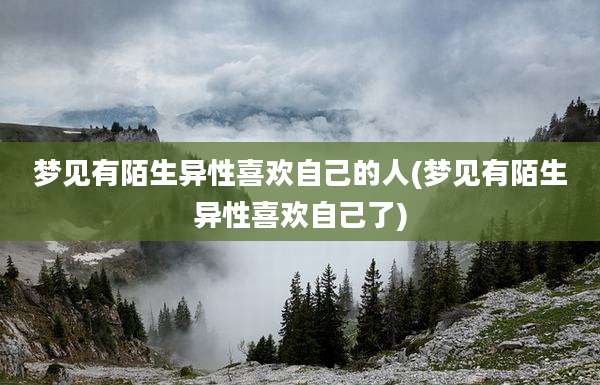 梦见有陌生异性喜欢自己的人(梦见有陌生异性喜欢自己了)