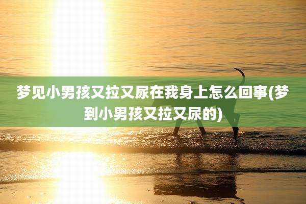 梦见小男孩又拉又尿在我身上怎么回事(梦到小男孩又拉又尿的)