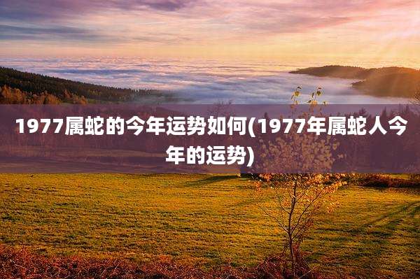 1977属蛇的今年运势如何(1977年属蛇人今年的运势)