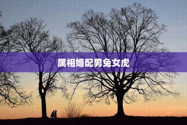 属相婚配男兔女虎