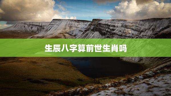 生辰八字算前世生肖吗