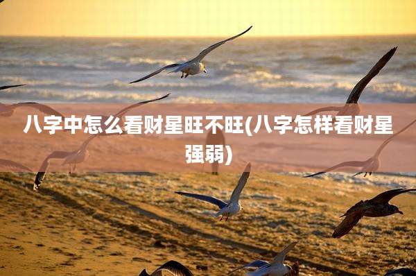 八字中怎么看财星旺不旺(八字怎样看财星强弱)