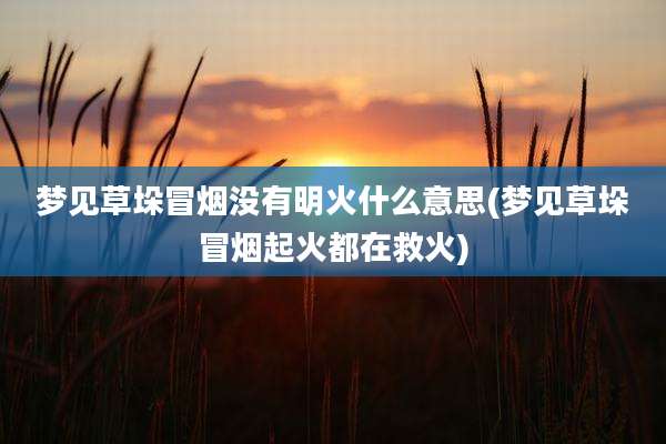 梦见草垛冒烟没有明火什么意思(梦见草垛冒烟起火都在救火)