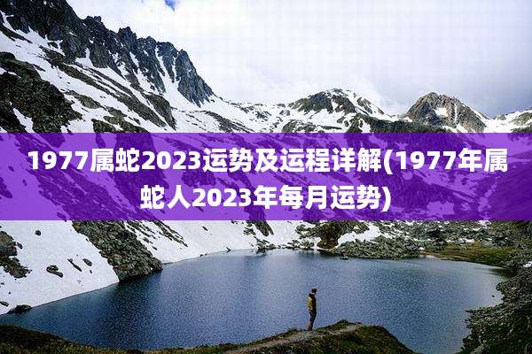 1977属蛇2023运势及运程详解(1977年属蛇人2023年每月运势)