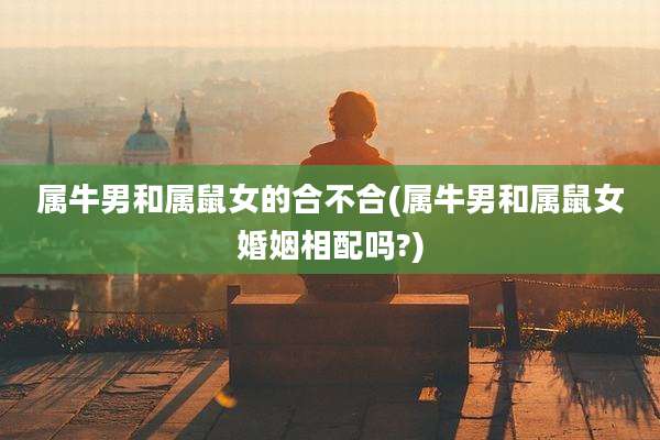 属牛男和属鼠女的合不合(属牛男和属鼠女婚姻相配吗?)