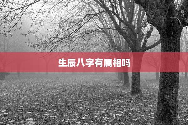 生辰八字有属相吗