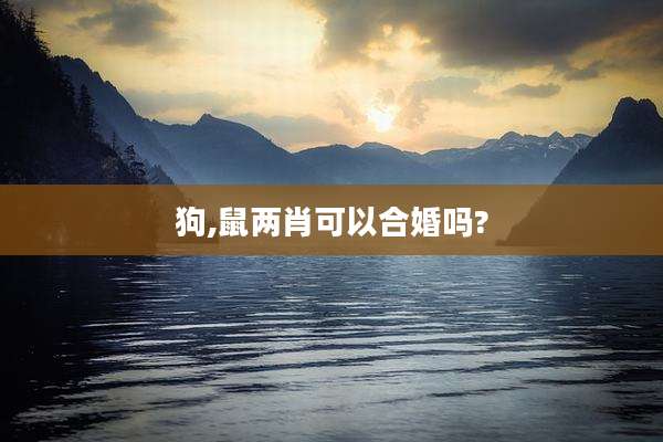 狗,鼠两肖可以合婚吗?