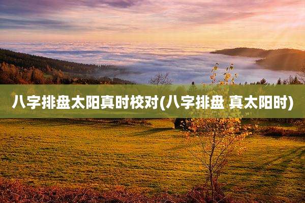 八字排盘太阳真时校对(八字排盘 真太阳时)