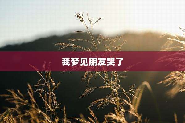 我梦见朋友哭了