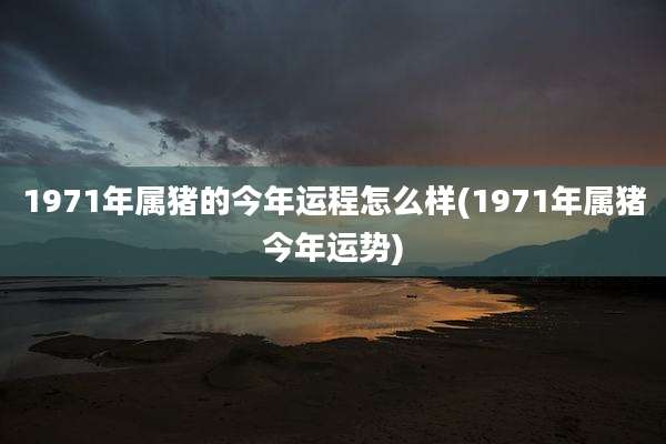 1971年属猪的今年运程怎么样(1971年属猪今年运势)
