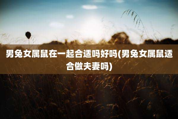 男兔女属鼠在一起合适吗好吗(男兔女属鼠适合做夫妻吗)