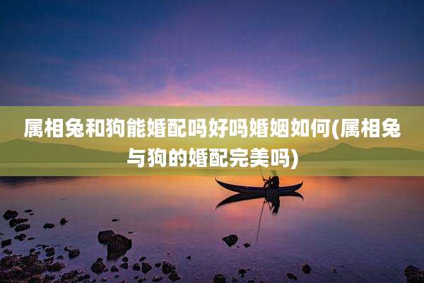 属相兔和狗能婚配吗好吗婚姻如何(属相兔与狗的婚配完美吗)