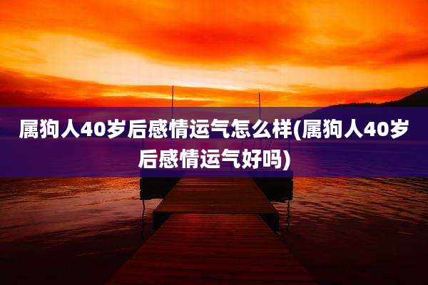 属狗人40岁后感情运气怎么样(属狗人40岁后感情运气好吗)