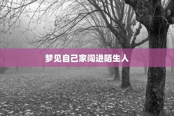 梦见自己家闯进陌生人