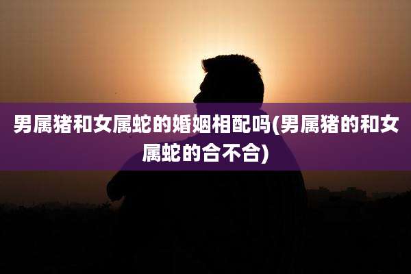男属猪和女属蛇的婚姻相配吗(男属猪的和女属蛇的合不合)