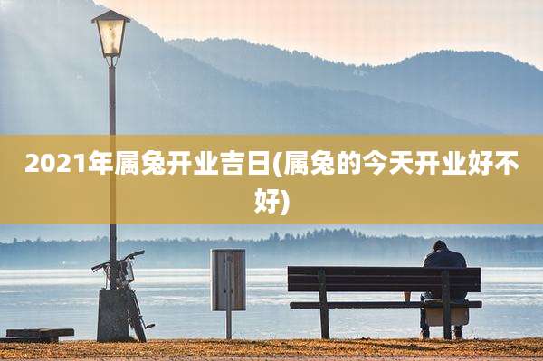 2021年属兔开业吉日(属兔的今天开业好不好)
