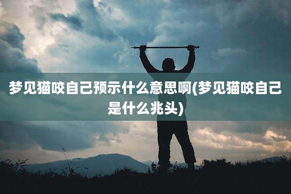 梦见猫咬自己预示什么意思啊(梦见猫咬自己是什么兆头)