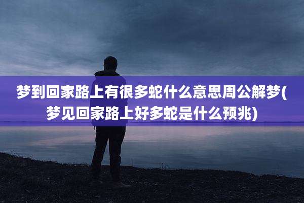 梦到回家路上有很多蛇什么意思周公解梦(梦见回家路上好多蛇是什么预兆)