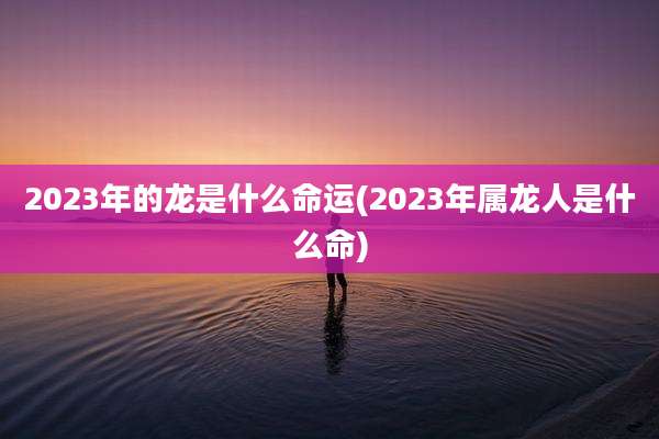 2023年的龙是什么命运(2023年属龙人是什么命)
