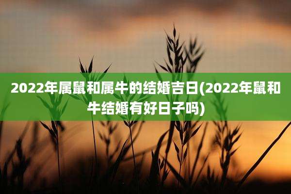 2022年属鼠和属牛的结婚吉日(2022年鼠和牛结婚有好日子吗)