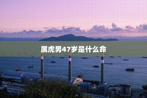 属虎男47岁是什么命