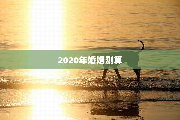 2020年婚姻测算