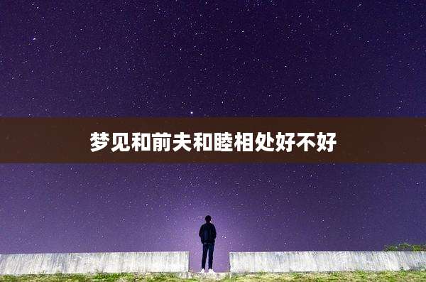 梦见和前夫和睦相处好不好