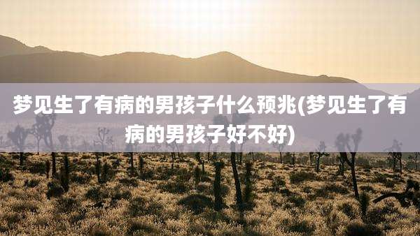 梦见生了有病的男孩子什么预兆(梦见生了有病的男孩子好不好)