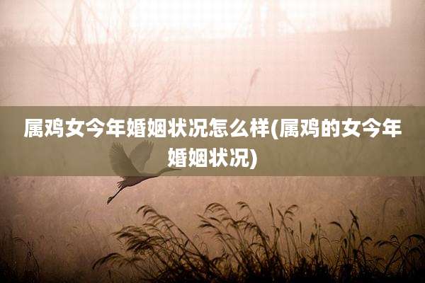 属鸡女今年婚姻状况怎么样(属鸡的女今年婚姻状况)