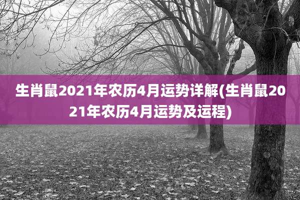 生肖鼠2021年农历4月运势详解(生肖鼠2021年农历4月运势及运程)