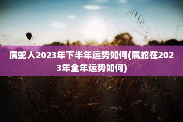 属蛇人2023年下半年运势如何(属蛇在2023年全年运势如何)