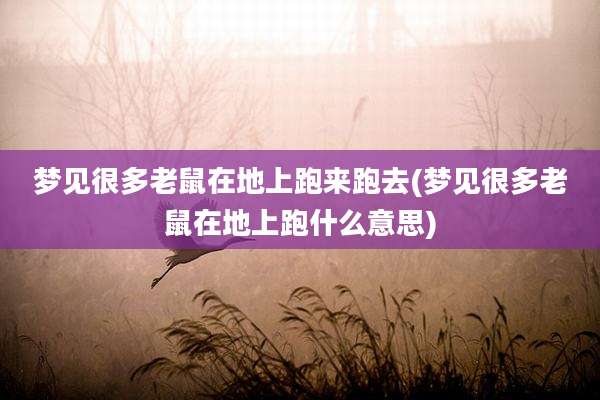 梦见很多老鼠在地上跑来跑去(梦见很多老鼠在地上跑什么意思)