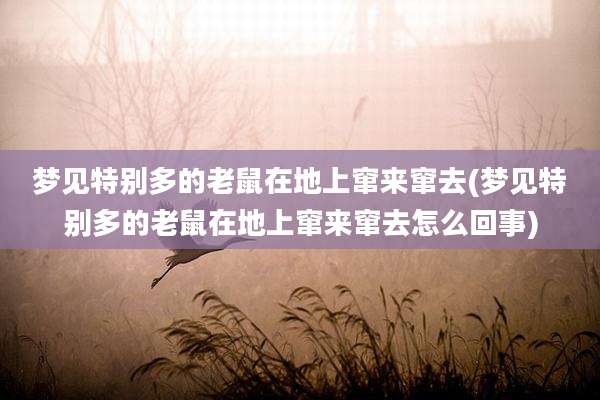 梦见特别多的老鼠在地上窜来窜去(梦见特别多的老鼠在地上窜来窜去怎么回事)