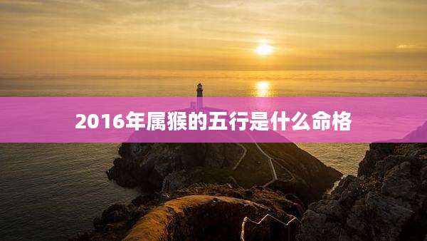 2016年属猴的五行是什么命格
