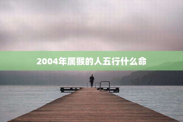 2004年属猴的人五行什么命