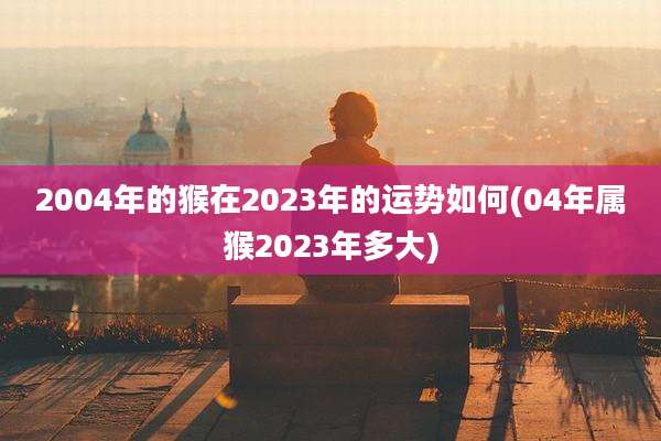 2004年的猴在2023年的运势如何(04年属猴2023年多大)
