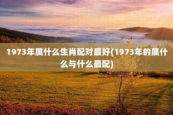 1973年属什么生肖配对最好(1973年的属什么与什么最配)