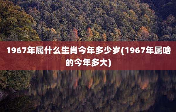 1967年属什么生肖今年多少岁(1967年属啥的今年多大)