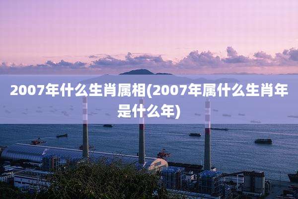 2007年什么生肖属相(2007年属什么生肖年是什么年)