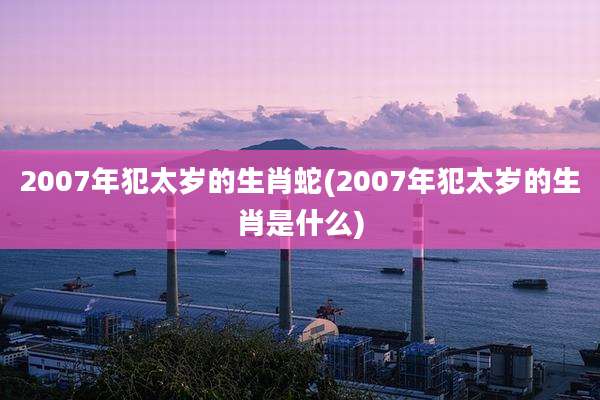 2007年犯太岁的生肖蛇(2007年犯太岁的生肖是什么)