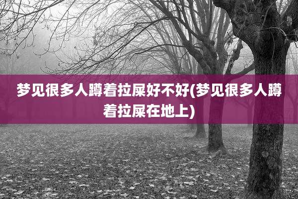 梦见很多人蹲着拉屎好不好(梦见很多人蹲着拉屎在地上)