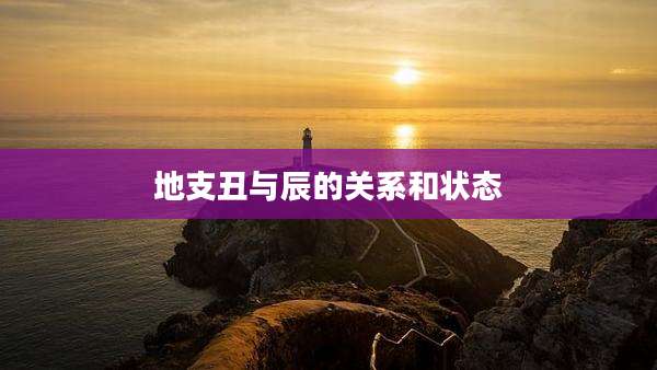 地支丑与辰的关系和状态