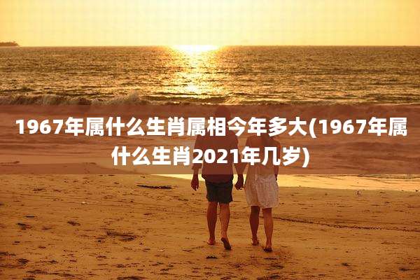 1967年属什么生肖属相今年多大(1967年属什么生肖2021年几岁)