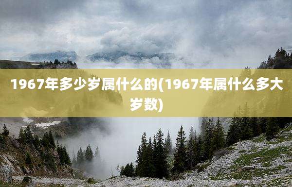 1967年多少岁属什么的(1967年属什么多大岁数)
