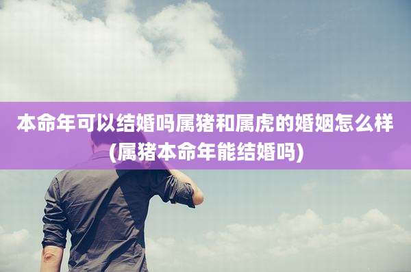 本命年可以结婚吗属猪和属虎的婚姻怎么样(属猪本命年能结婚吗)