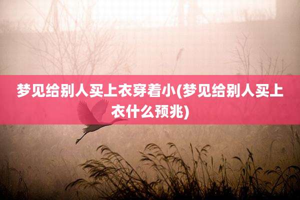 梦见给别人买上衣穿着小(梦见给别人买上衣什么预兆)